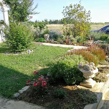 Apartmán Ferienwohnung Fur 3 Personen Ca 25 Qm In Privlaka, Dalmatien Norddalmatien Privlaka (Zadar)